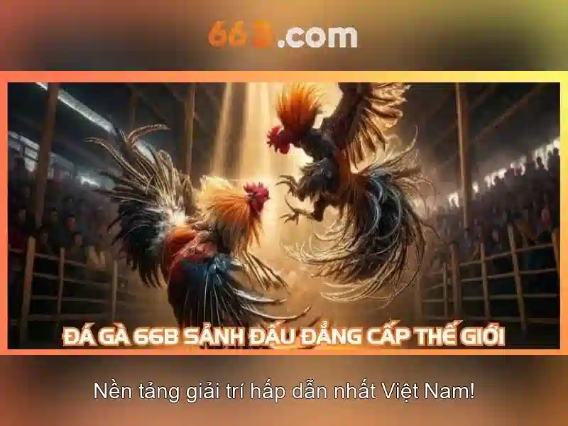💎cá cược vn88💎