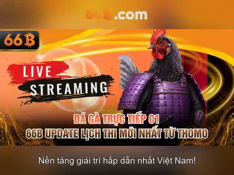 💎cá cược tỷ số💎