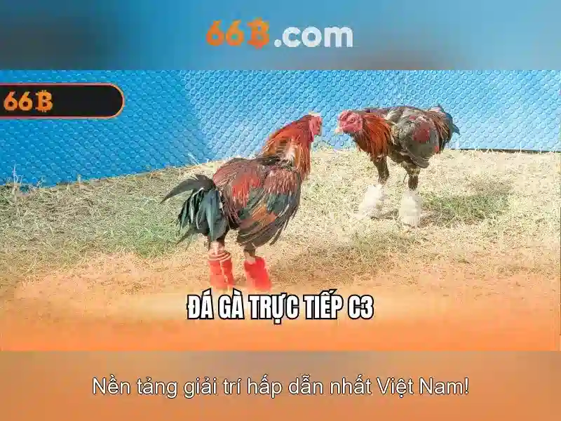 💎cá cược os💎