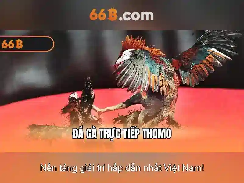 💎sông ở bắc á thường có hướng gì💎