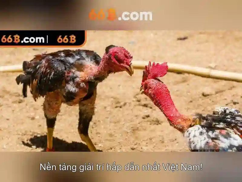 💎ole 338 slot💎