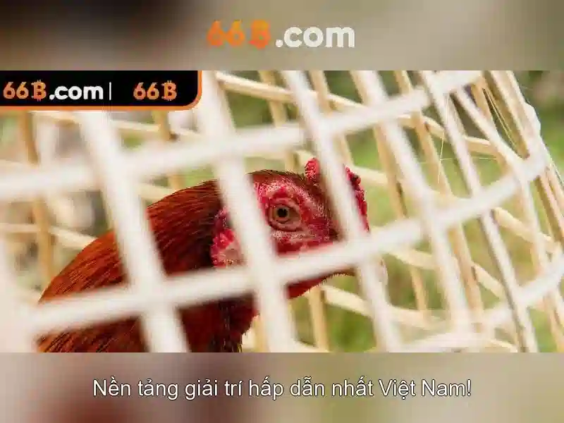 💎trang nhà cai💎