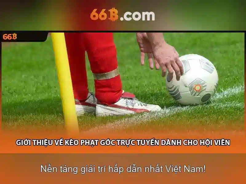 💎cá cược cuộc đời tập 12💎