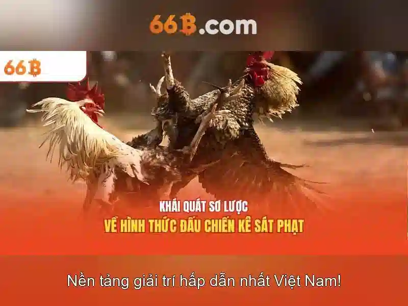 💎blackjack live💎