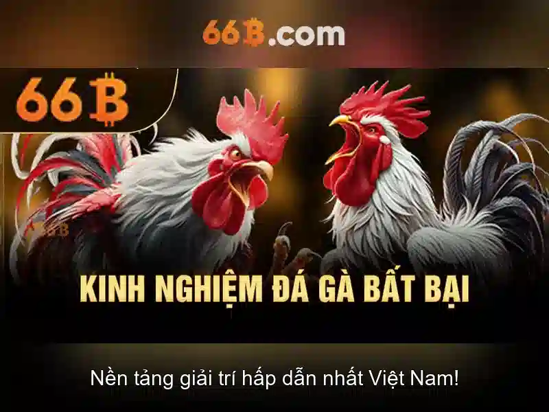 💎nhà cái mới nhất 2021💎