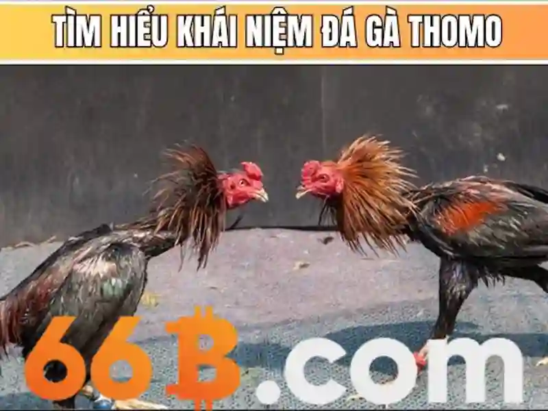 💎tỷ lệ cá cược vòng loại world cup nam mỹ💎