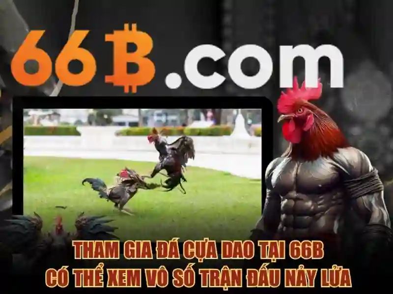 💎ca cuoc oxbet💎